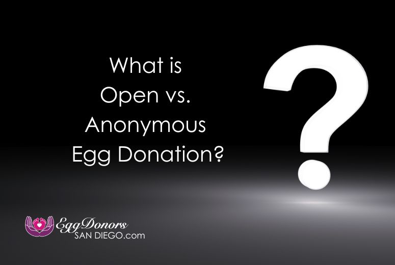 Open vs. Anonymous Egg Donation: What Intended Parents and Donors Need to Know