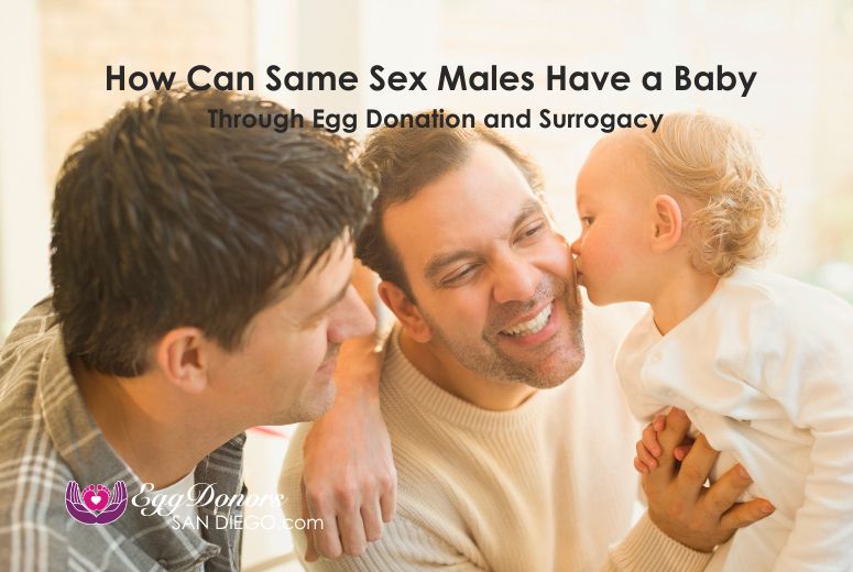 How Can Same Sex Males Have a Baby Through Egg Donation and Surrogacy